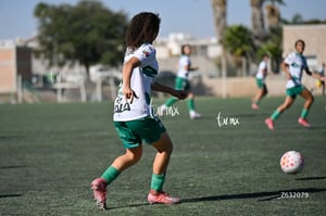 Santos Laguna vs Club Tijuana femenil S19