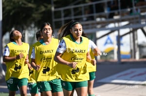 Santos Laguna vs Club Tijuana femenil S19
