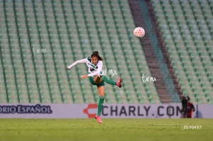 Santos Laguna vs Necaxa femenil