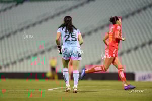 Santos Laguna vs Necaxa femenil