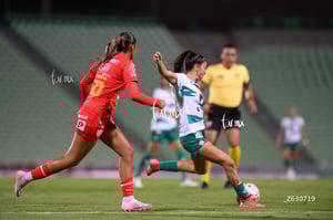 Santos Laguna vs Necaxa femenil
