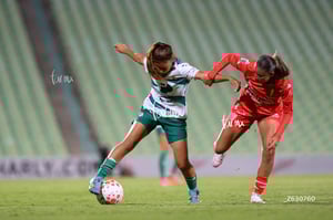 Santos Laguna vs Necaxa femenil