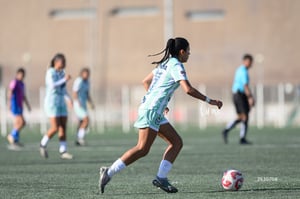 Santos Laguna vs Rayadas Monterrey S19