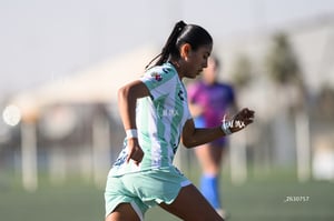 Santos Laguna vs Rayadas Monterrey S19