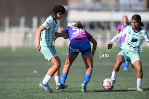 Santos Laguna vs Rayadas Monterrey S19