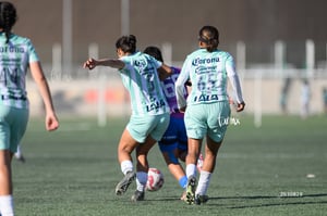 Santos Laguna vs Rayadas Monterrey S19