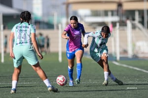 Santos Laguna vs Rayadas Monterrey S19
