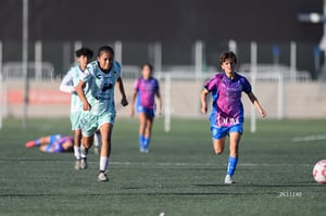 Santos Laguna vs Rayadas Monterrey S19
