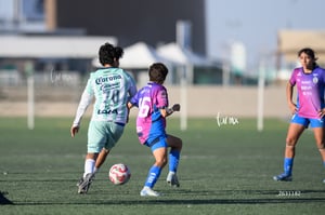 Santos Laguna vs Rayadas Monterrey S19