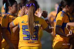 Santos Laguna vs Tigres UANL S19