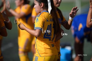 Santos Laguna vs Tigres UANL S19