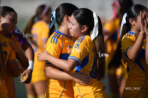 Santos Laguna vs Tigres UANL S19