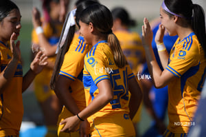 Santos Laguna vs Tigres UANL S19