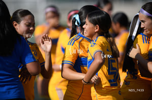 Santos Laguna vs Tigres UANL S19