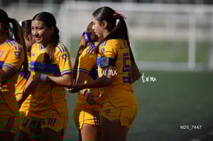 Santos Laguna vs Tigres UANL S19
