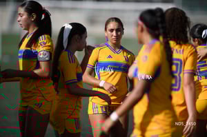 Santos Laguna vs Tigres UANL S19