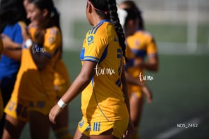 Santos Laguna vs Tigres UANL S19