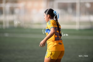 Santos Laguna vs Tigres UANL S19