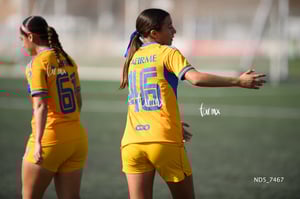 Santos Laguna vs Tigres UANL S19