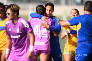 Santos Laguna vs Tigres UANL S19