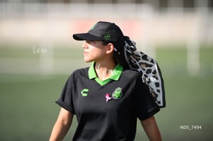 Santos Laguna vs Tigres UANL S19