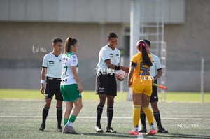 Santos Laguna vs Tigres UANL S19