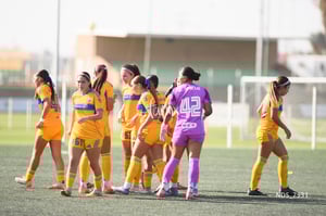 Santos Laguna vs Tigres UANL S19