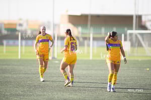 Santos Laguna vs Tigres UANL S19