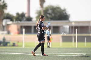 Santos Laguna vs Tigres UANL S19