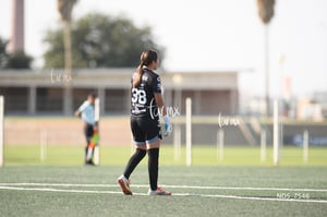 Santos Laguna vs Tigres UANL S19