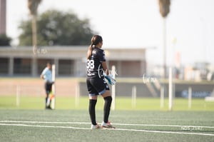 Santos Laguna vs Tigres UANL S19