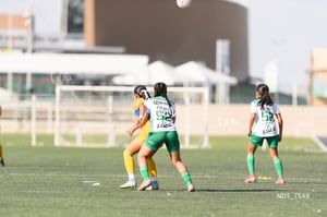 Santos Laguna vs Tigres UANL S19