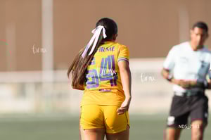Santos Laguna vs Tigres UANL S19