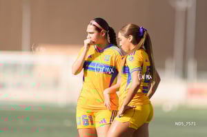 Santos Laguna vs Tigres UANL S19