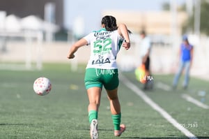 Santos Laguna vs Tigres UANL S19