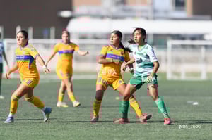 Santos Laguna vs Tigres UANL S19
