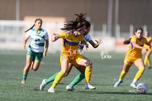 Santos Laguna vs Tigres UANL S19