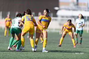 Santos Laguna vs Tigres UANL S19