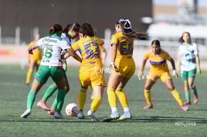 Santos Laguna vs Tigres UANL S19