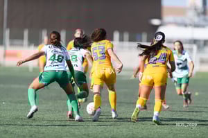 Santos Laguna vs Tigres UANL S19