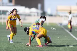 Santos Laguna vs Tigres UANL S19