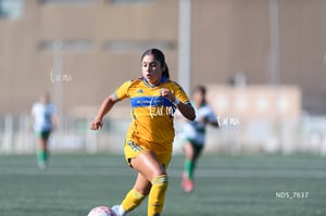 Santos Laguna vs Tigres UANL S19