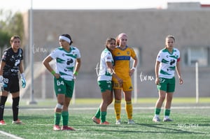 Santos Laguna vs Tigres UANL S19