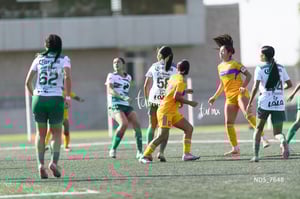 Santos Laguna vs Tigres UANL S19