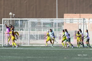 Santos Laguna vs Tigres UANL S19
