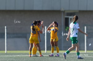 Santos Laguna vs Tigres UANL S19