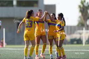 Santos Laguna vs Tigres UANL S19
