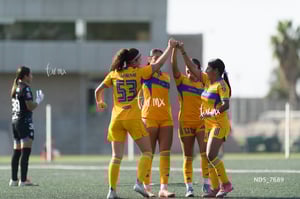Santos Laguna vs Tigres UANL S19