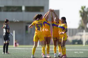 Santos Laguna vs Tigres UANL S19