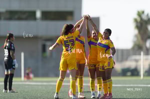 Santos Laguna vs Tigres UANL S19